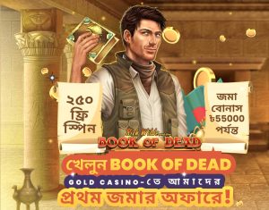 book of dead gold casino